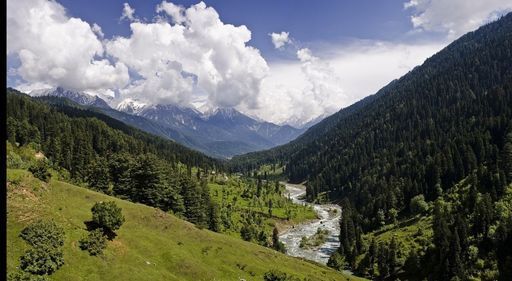 Пешая прогулка по лесной дороге  meeting main image