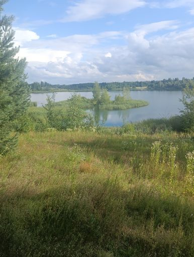 ПВД. Ночевка в лесу на берегу озера в палатках  meeting main image