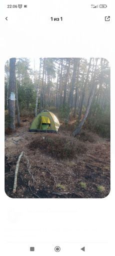 ПВД. Ночь с палатками в лесу meeting main image