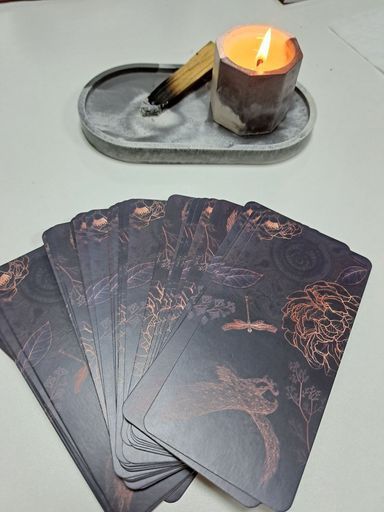 Вечер с мак картами  meeting main image