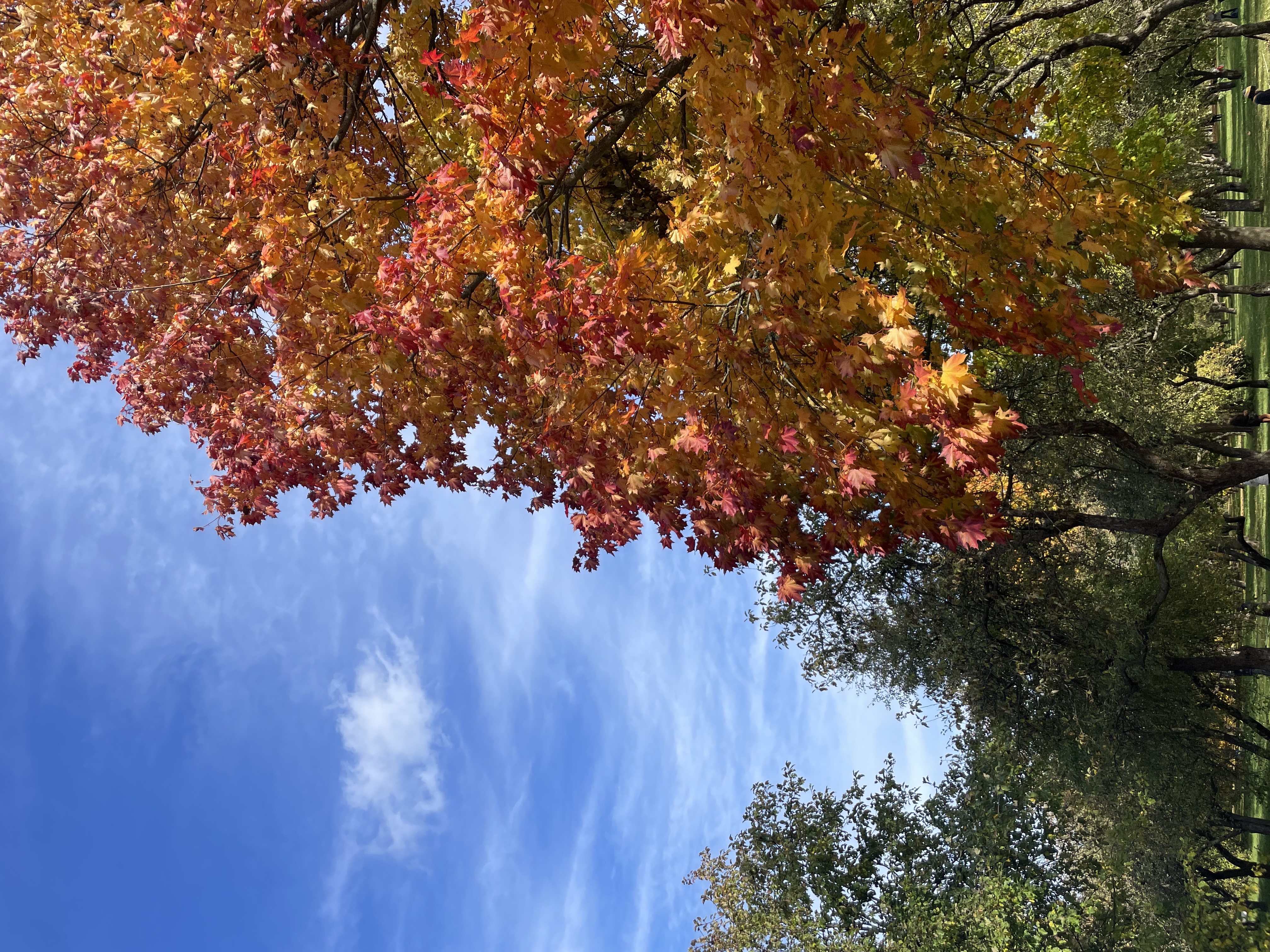 Общение, истории, улыбки meeting main image