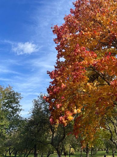 Общение, истории, улыбки meeting main image