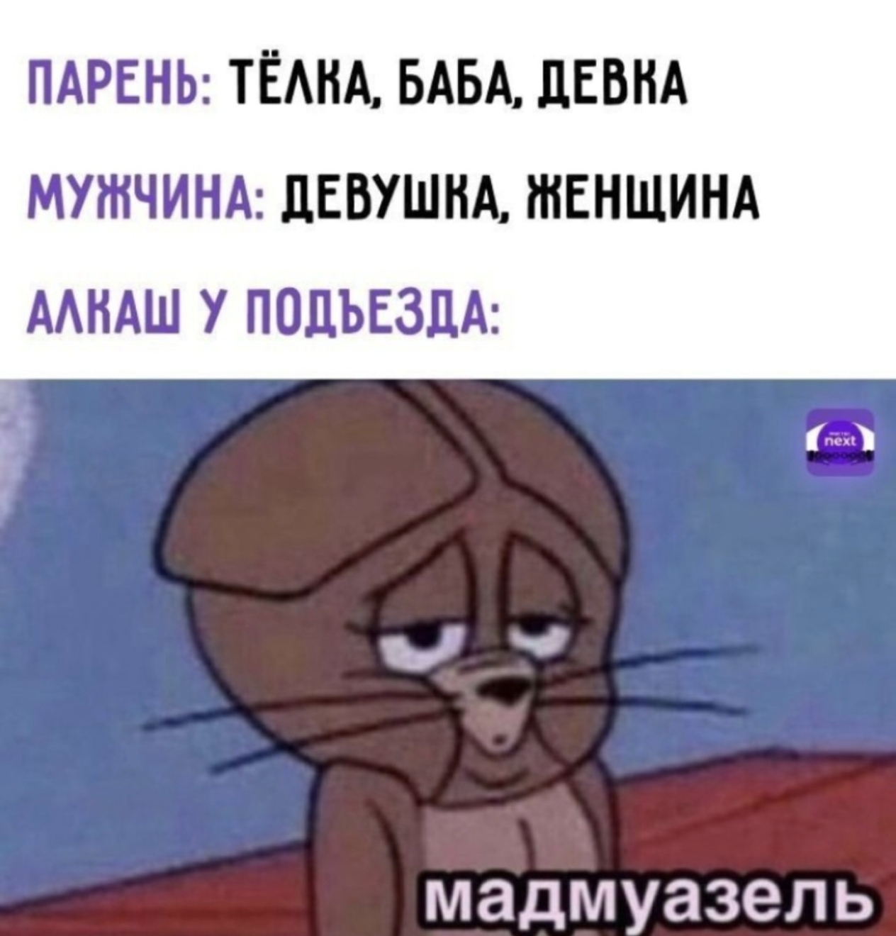 User Avatar