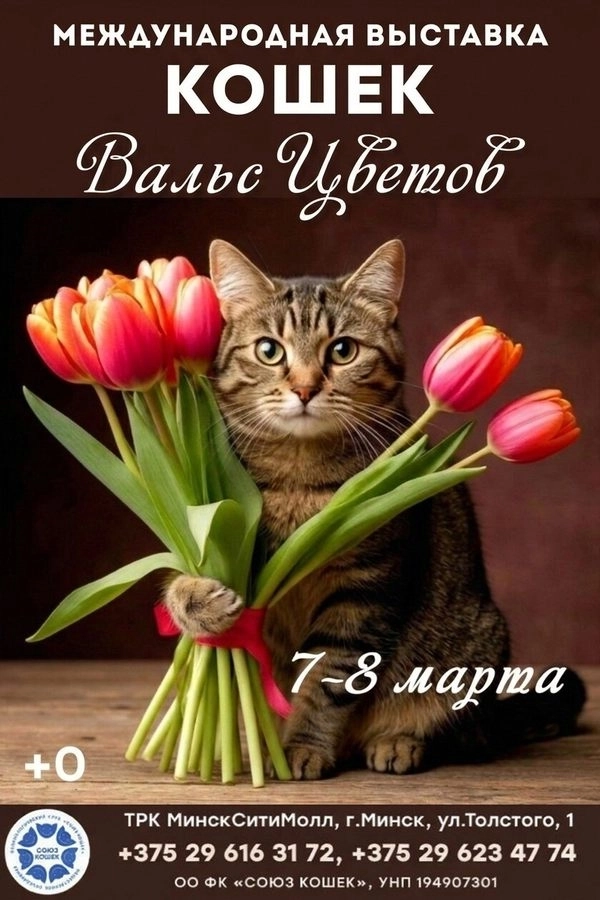 Международная выставка кошек «Вальс цветов» event main image