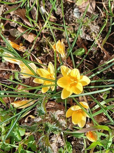 Женская настольная игра meeting main image