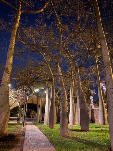 Бег и прогулки  meeting main image