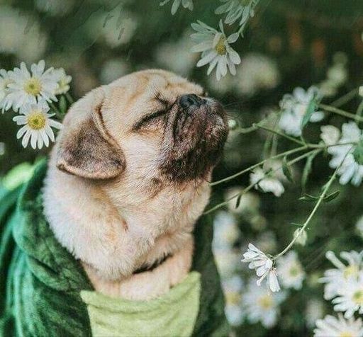 Горизонты🙃 Клуб путешествий и друзей/знакомых meeting main image
