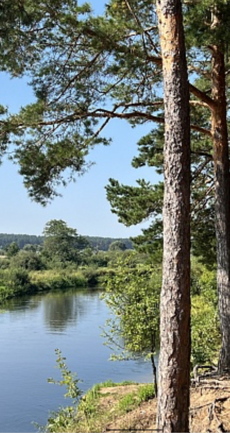 На отдых с детьми meeting main image