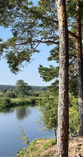 На отдых с детьми meeting main image