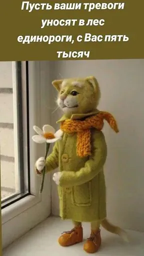 User Николай  avatar