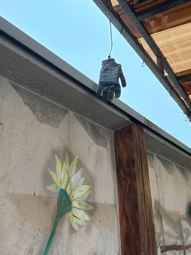 Общение/прогулки для молодых ( своя группа телеграмм / 18-28лет ) meeting main image