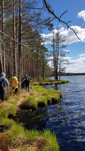 Поездки по Беларуси и активный отдых на природе meeting main image