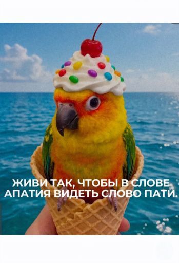 Ищу партнёра  meeting main image