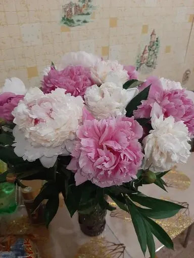 User Татьяна   avatar