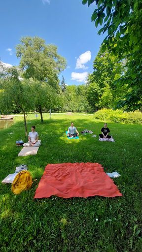 Йога в парке 🌿🧘 meeting main image