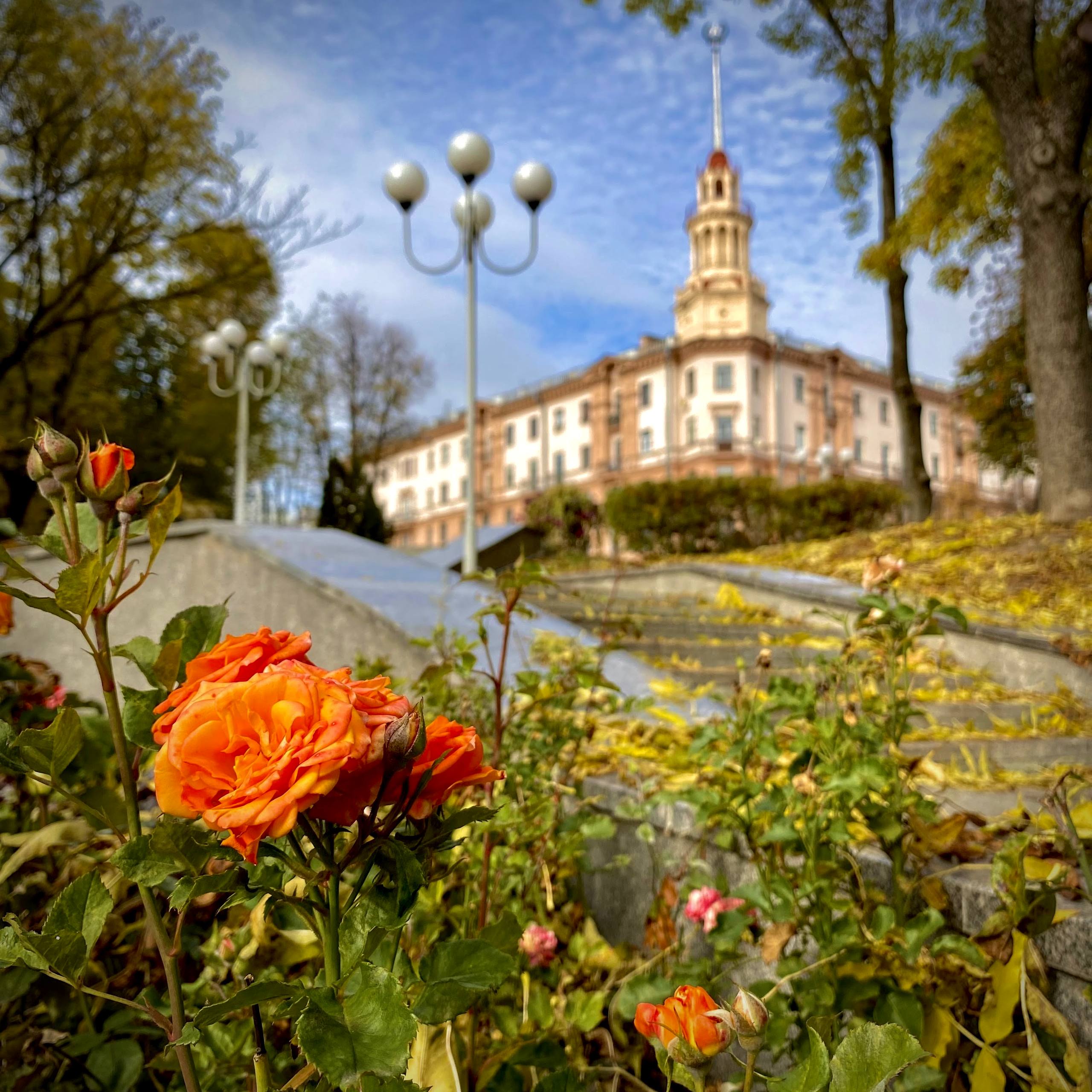 Клуб фотографов Беларуси  meeting main image