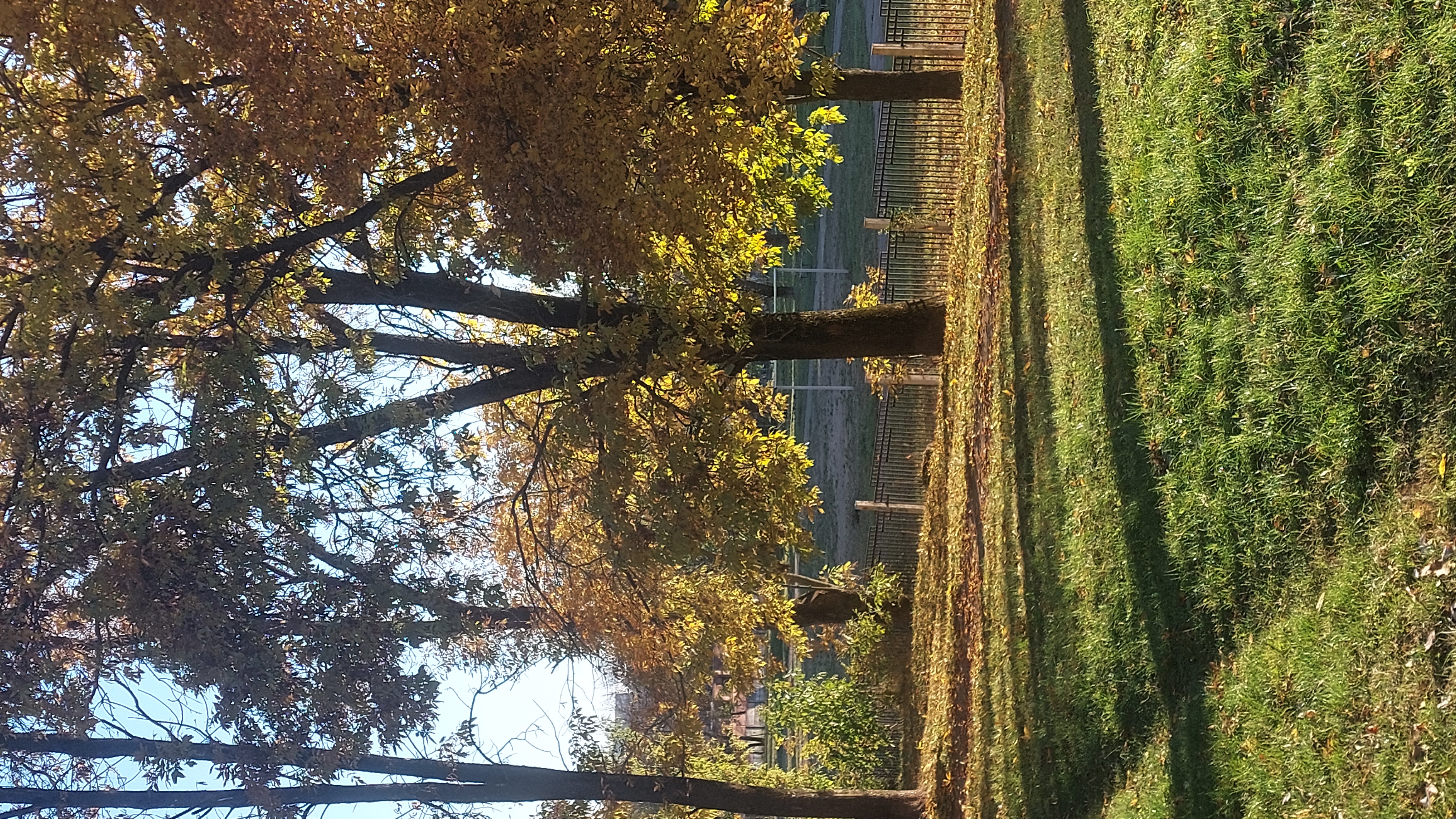 Собираю группу для мастермайнда meeting main image