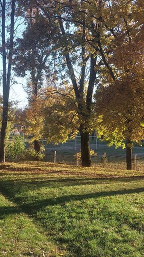 Собираю группу для мастермайнда meeting main image