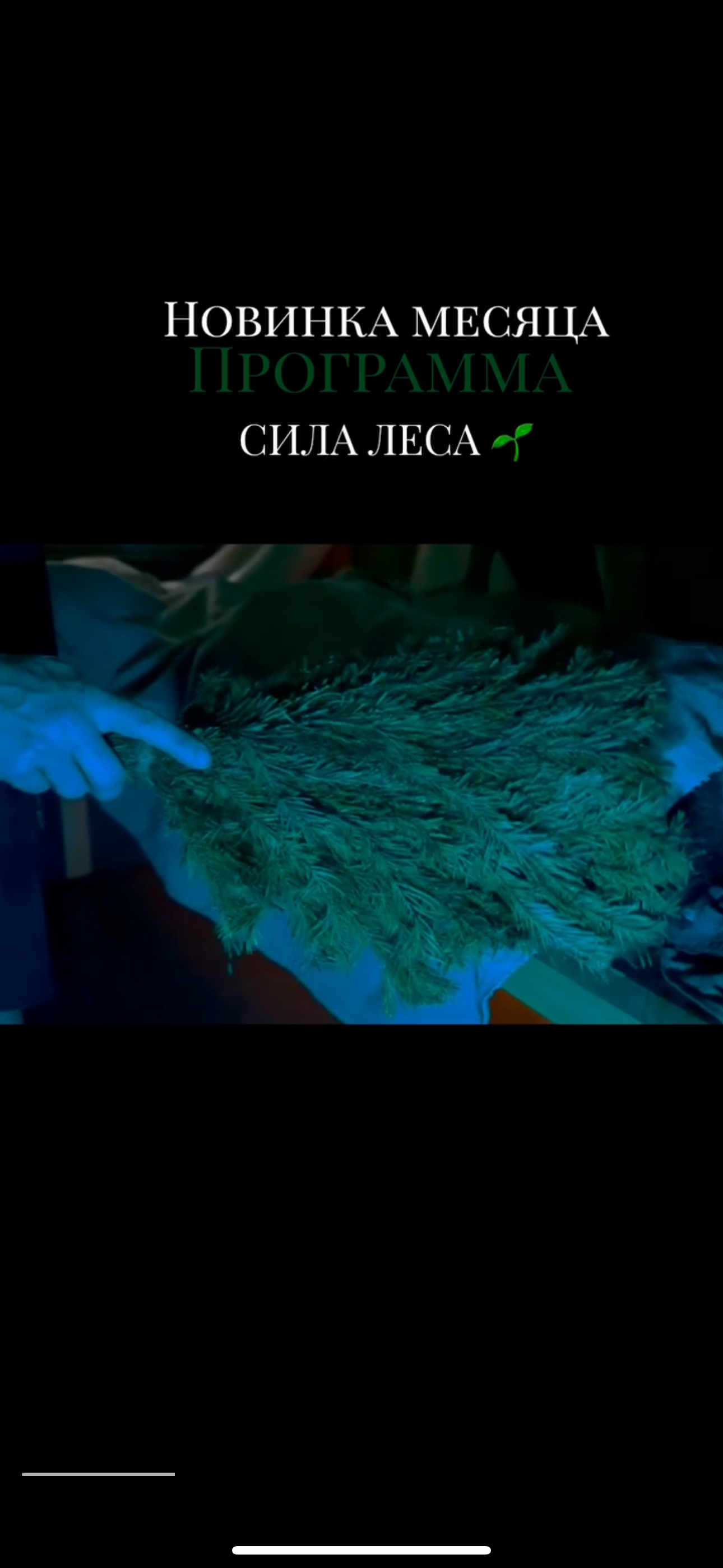 ПРОГРАММА «Сила Леса» meeting main image