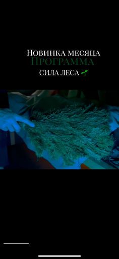ПРОГРАММА «Сила Леса»  meeting main image