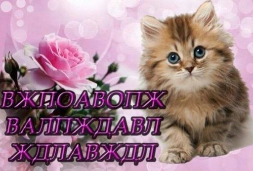 общение/встречи  meeting main image