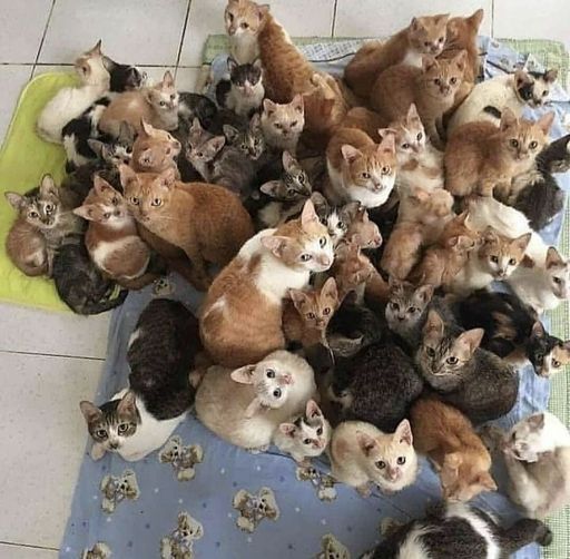 Общение и встречи для дружественных знакомств 18-30 лет meeting main image