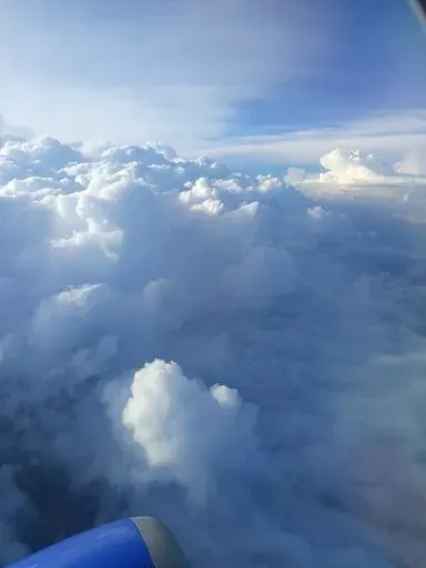 User Валерия   avatar