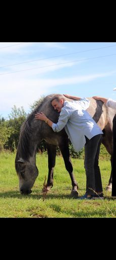 "В ритме души и копыт" meeting main image