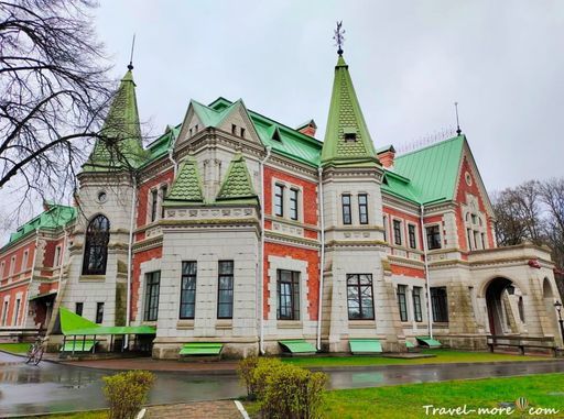 Поездка на выходные в усадьбу Козелл-Поклевских meeting main image