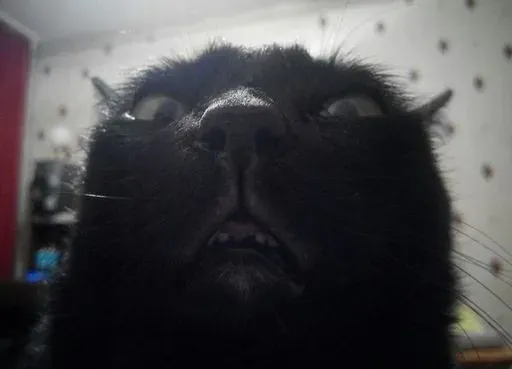 User Петя Иванов avatar