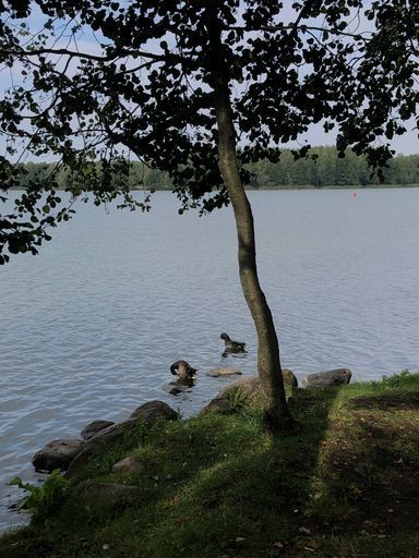 Шашлычки в парке победы meeting main image