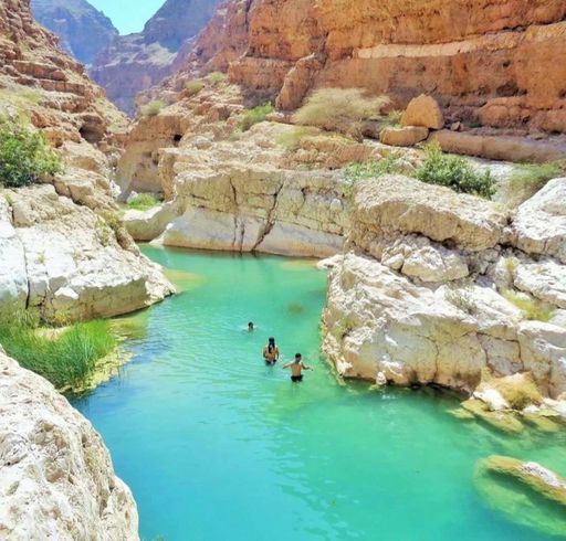 Оман-Вьетнам: открываем новые горизонты🌅 meeting main image