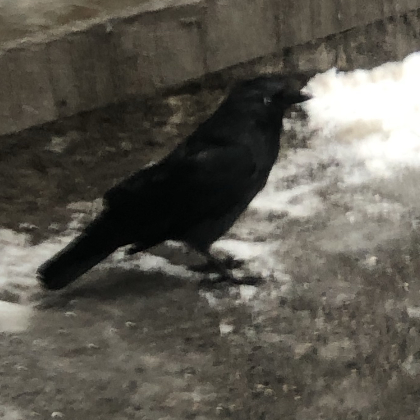 Общение meeting main image