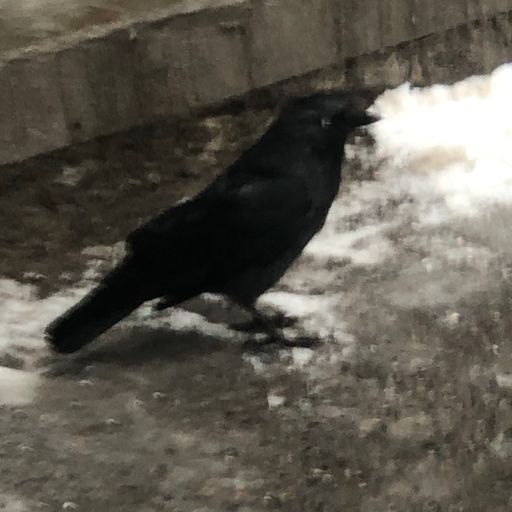 Общение meeting main image