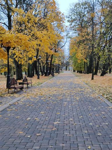 Прогулка по парку meeting main image