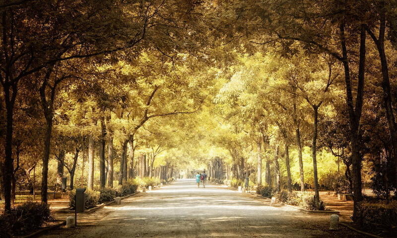 Вечерняя прогулка с новым человеком(юго-запад) meeting main image