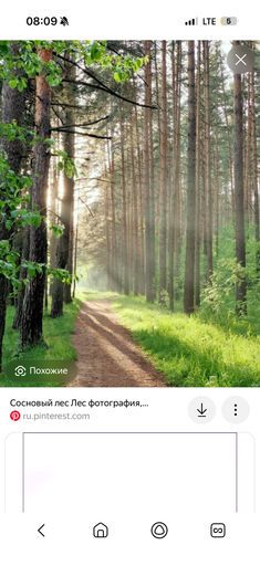 Бег в Пышках  meeting main image