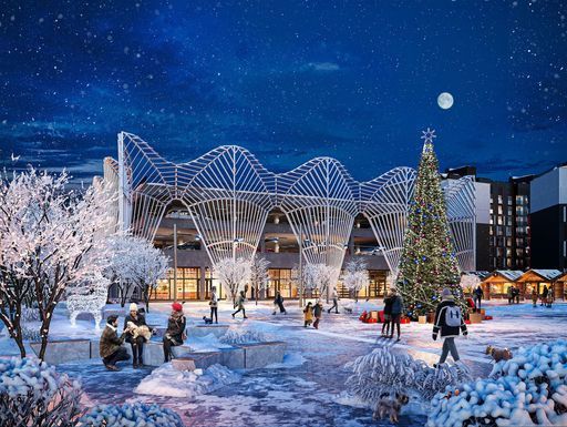 Прогулки по Новой Боровой meeting main image