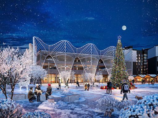 Настолки и прогулки по Новой Боровой meeting main image