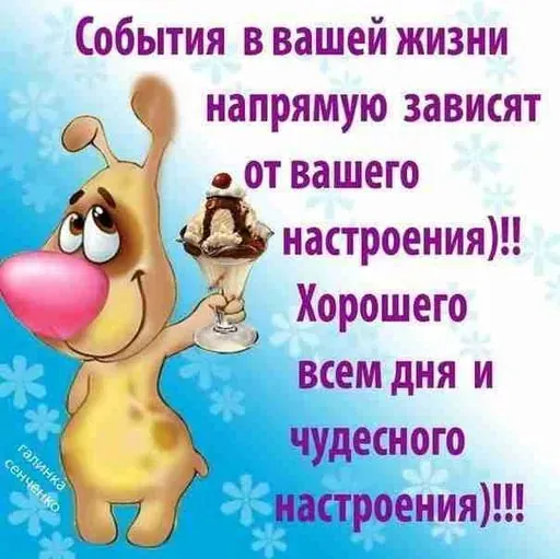 User Елена Б. avatar