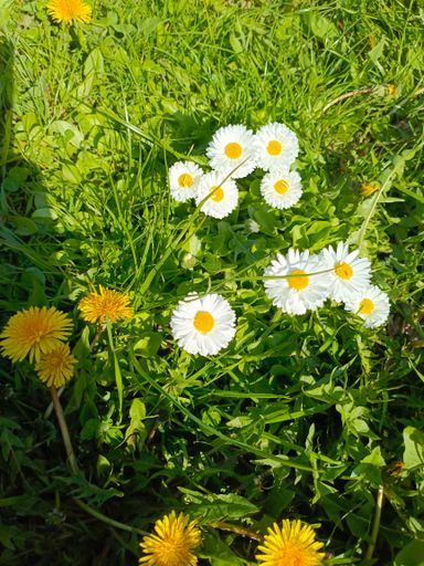 5.05 на 5 пляже Минского моря Отдых meeting main image