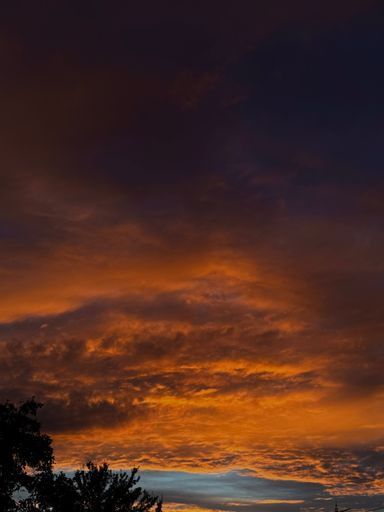 Прогулка meeting main image