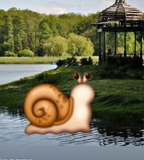 Поездка на Улиточную ферму и прогулка по Несвижу meeting main image