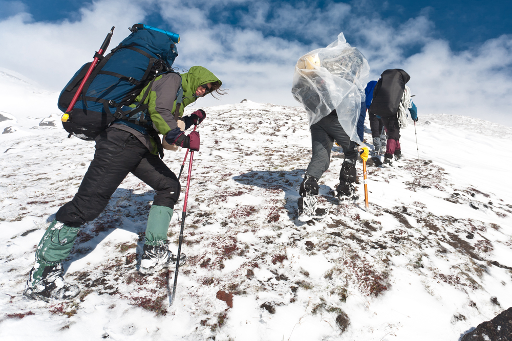 4 часовая прогулка по городу  meeting main image