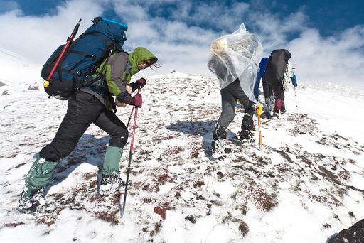 4 часовая прогулка по городу  meeting main image