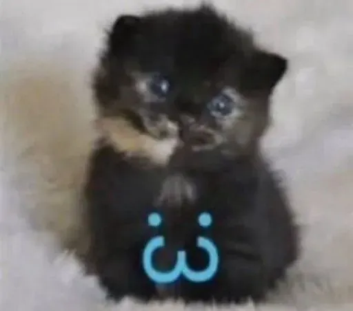 User Лина .  avatar