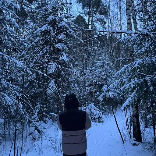 User Nastassia  avatar