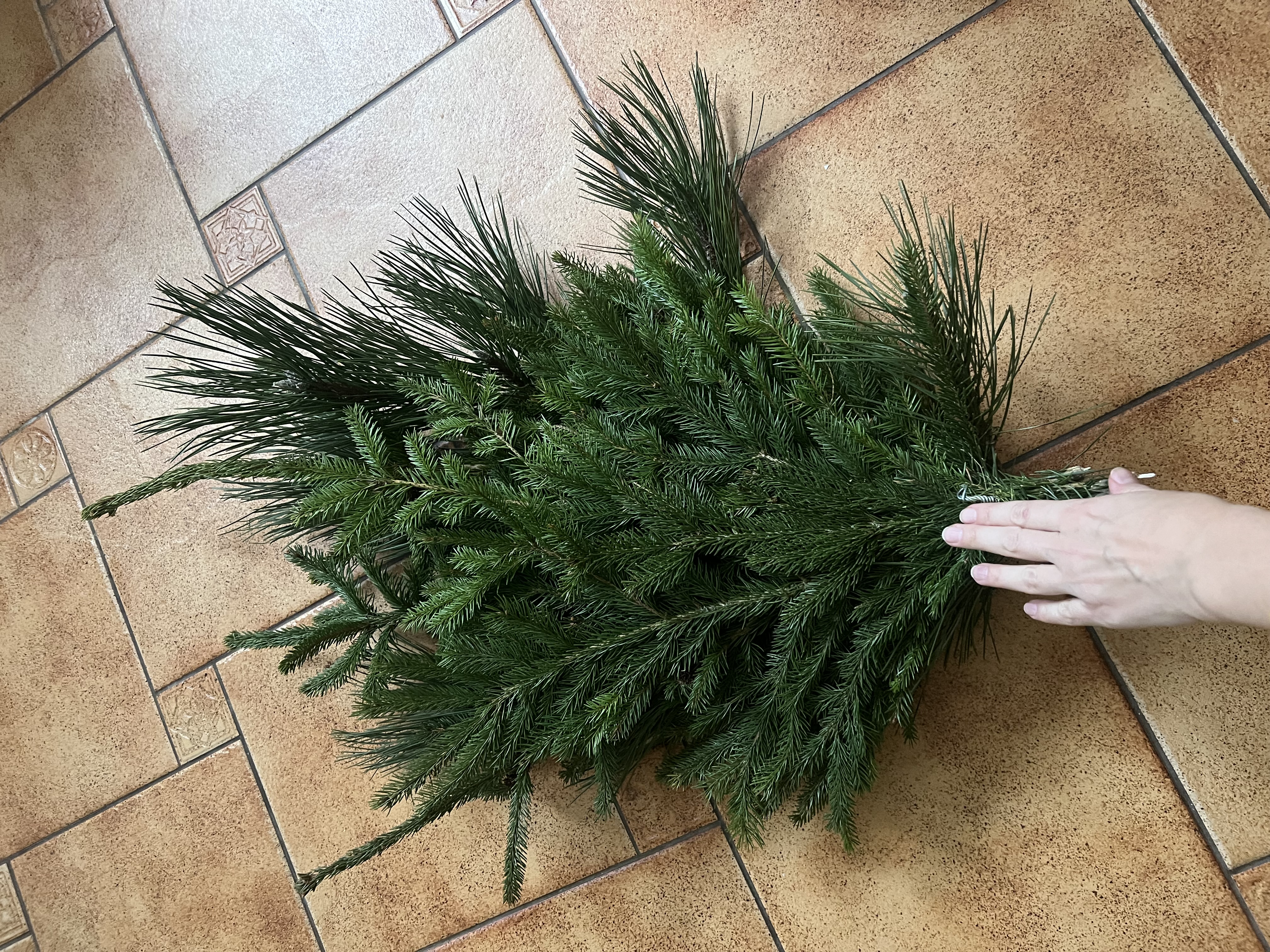 User Наталия  avatar