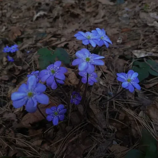 User Полина  avatar