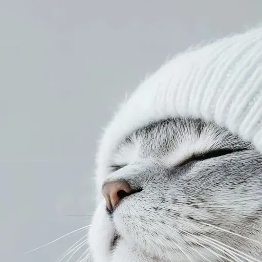 User Лариса  avatar